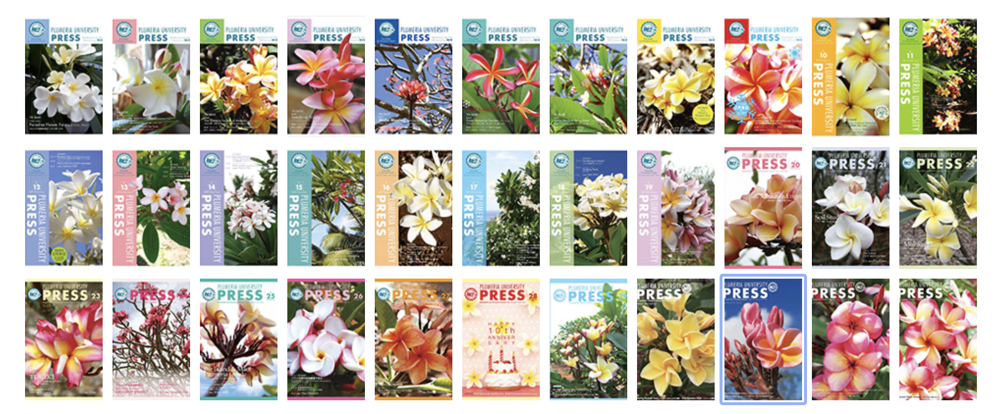 Screen+Shot+2022-04-23+at+12.